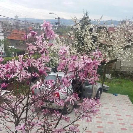 Apartment Mri Cluj-Napoca