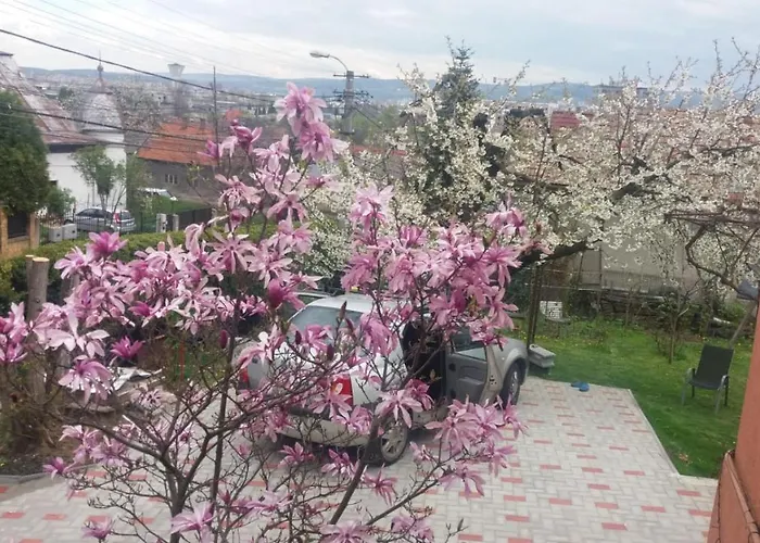 Appartement Mri Cluj-Napoca